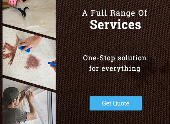 Professional Cleaning Services in Brooklyn