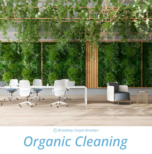 Organic Cleaning
