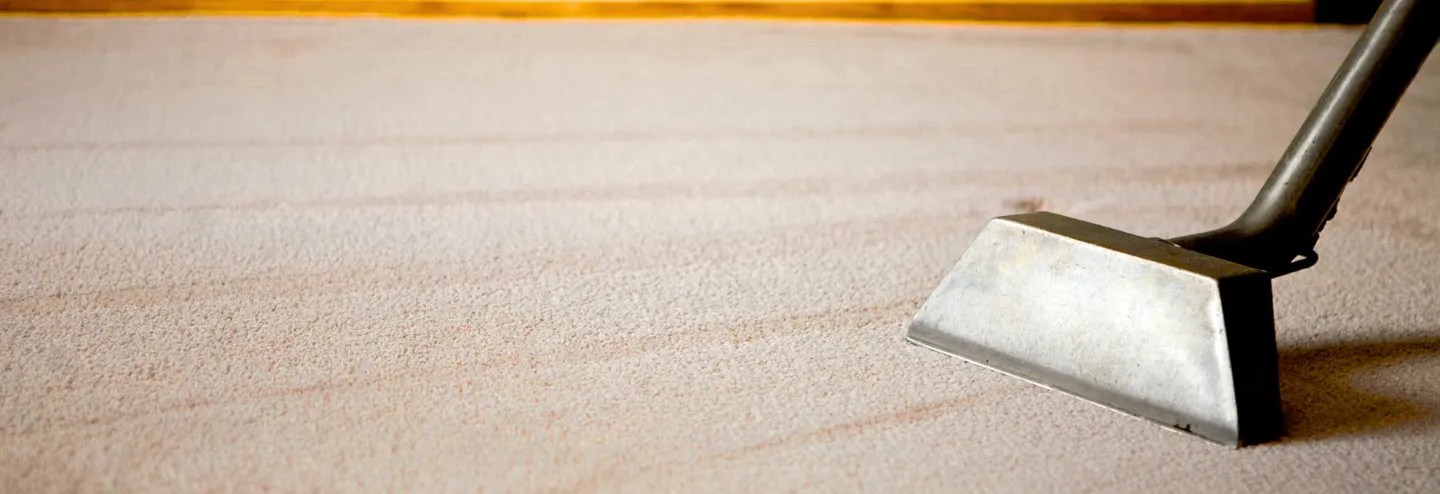 Carpet Cleaning