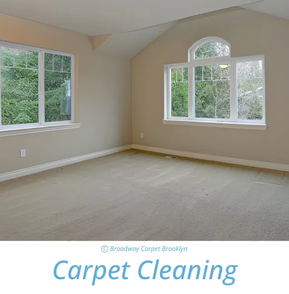 Rug Cleaning Process